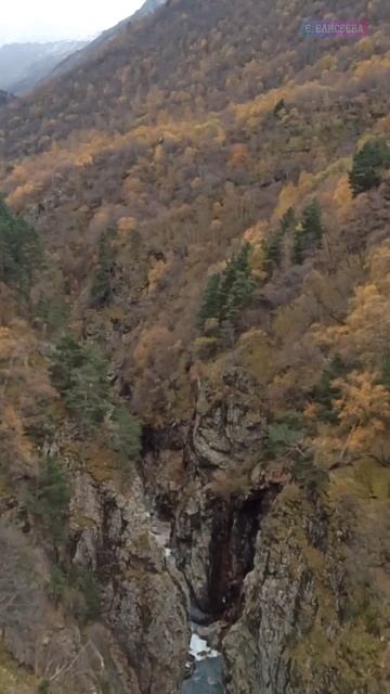 #Дигория. Северная #Осетия /12.10.25/