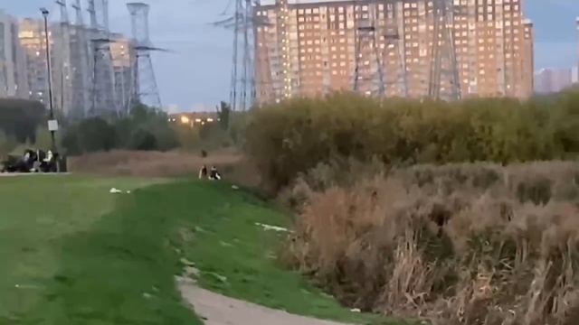 ‼️В парке «Дружба» на границе Люберец и Москвы кто-то украл кусок рулонного газона‼️