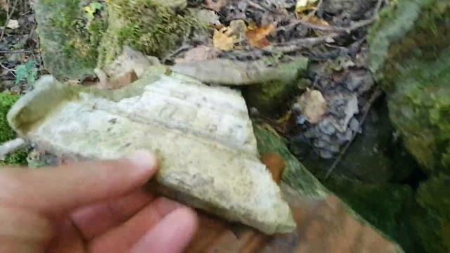 За хутором Аккерменка в Крымском районе обнаружили руины старинной мельницы
