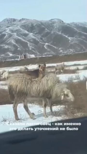 VID_20251012_222334_253.mp4