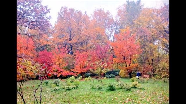 Гланый Ботанический Сад 10-10-2025