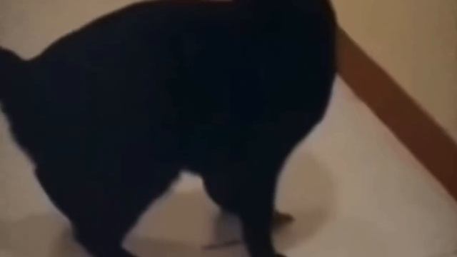 ЮМОР