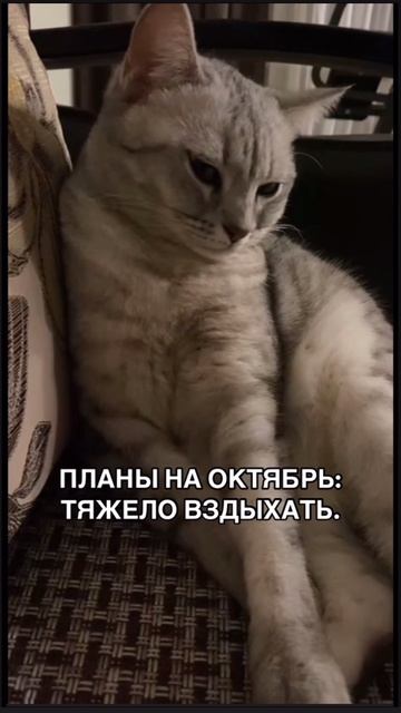 13-10-2025