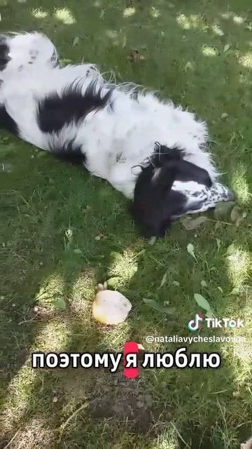 Бездельник...)))