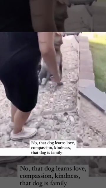 Дождался друга.mp4