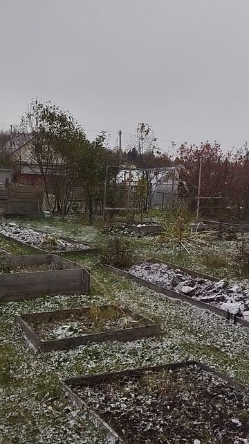 погода на даче