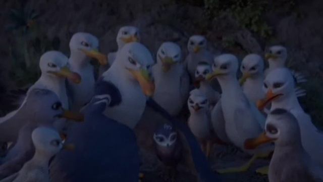 1000034069.mp4