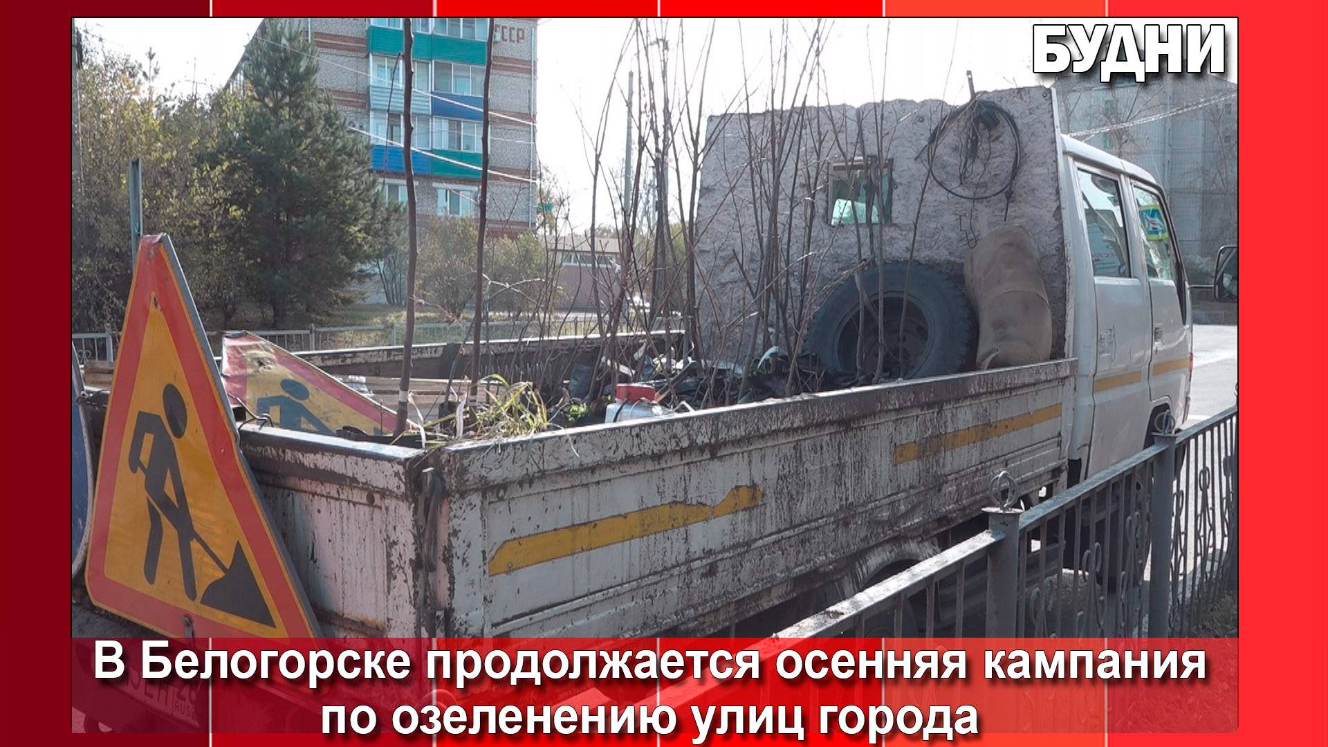 Более 350 деревьев высадили в Белогорске за неделю