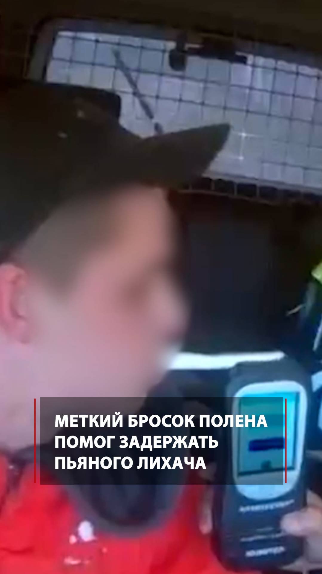 Меткий бросок полена помог задержать пьяного лихача