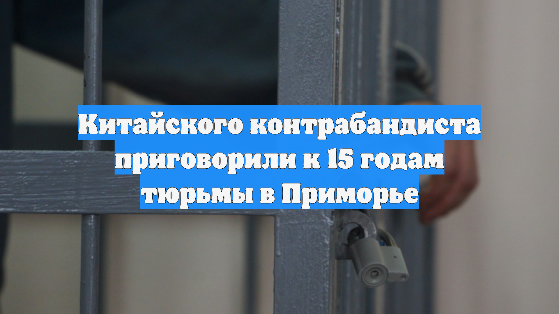 Китайского контрабандиста приговорили к 15 годам тюрьмы в Приморье