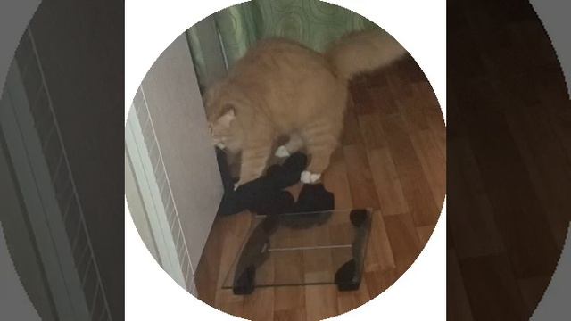 хочу помягче))