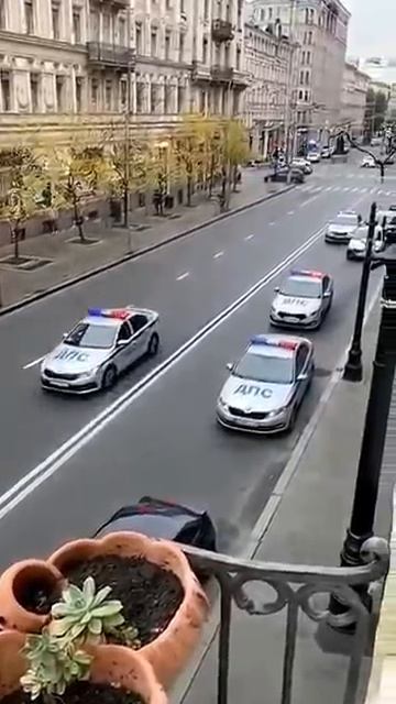 Обезьяна на самокате 😂Прислали по Ватсап 😂