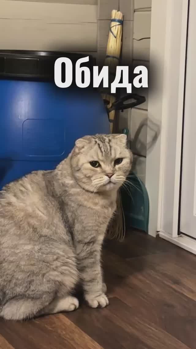 Как она могла🥲