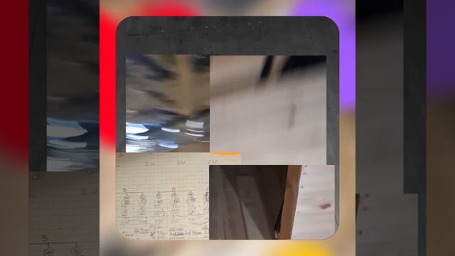 1000037143.mp4 (Собака смотрит на монтаж электропроводки (в э/щите) в доме А-фрейм)