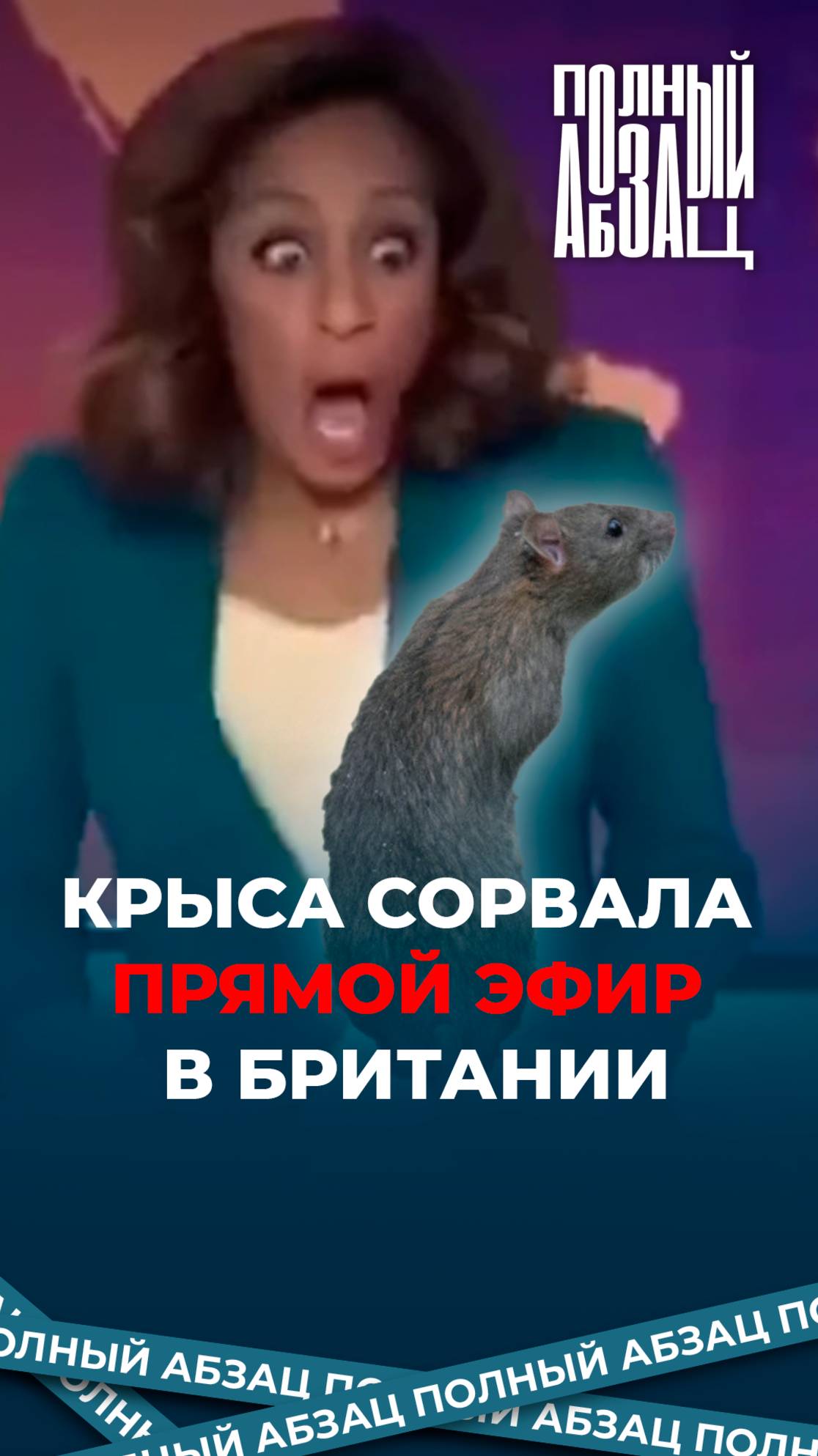 Крыса сорвала прямой эфир в Британии
