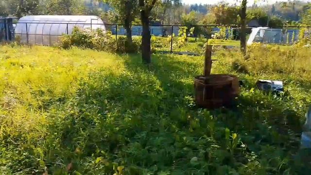 СНТ Сад  7 Берёзовая Поляна