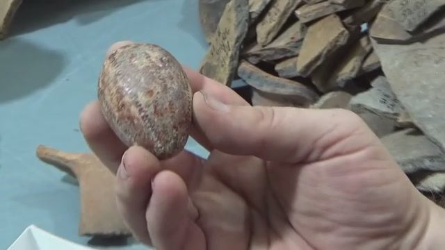 Керамическое яйцо писанка из раскопа по ул. Гоголя 13