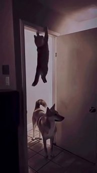 Не куда бежать