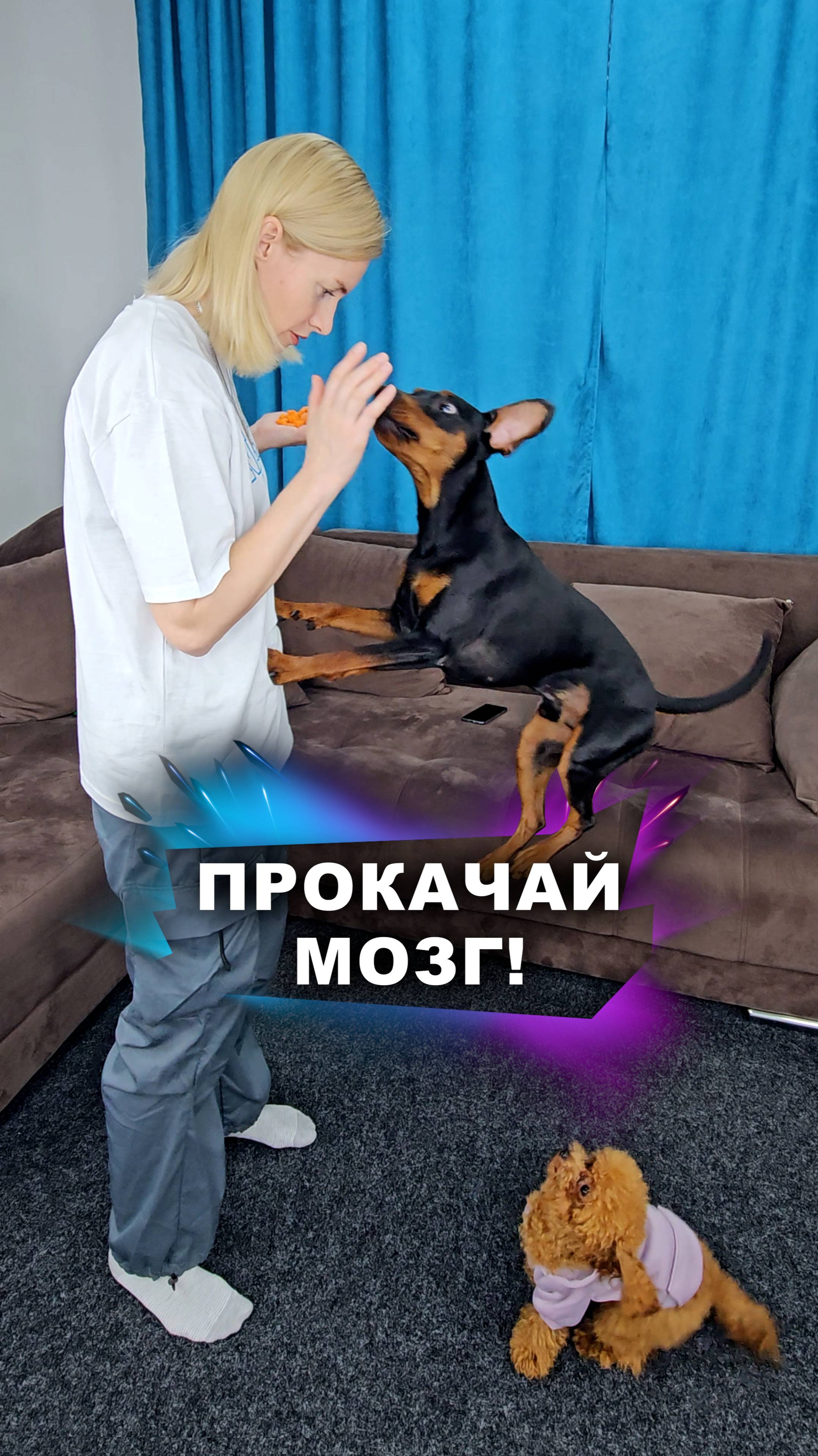 А ещё это бывает весело #животные