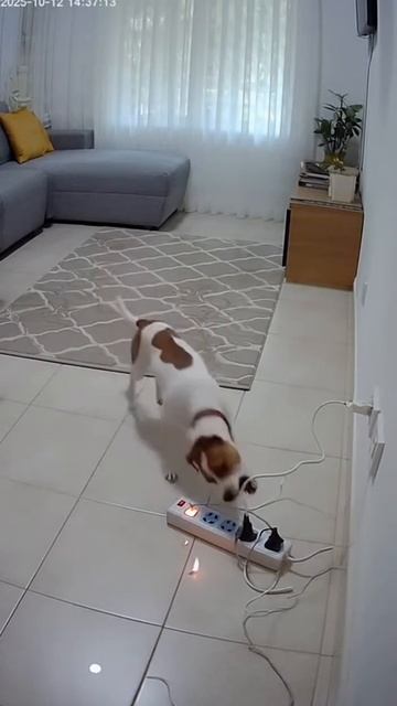 1000085708.mp4