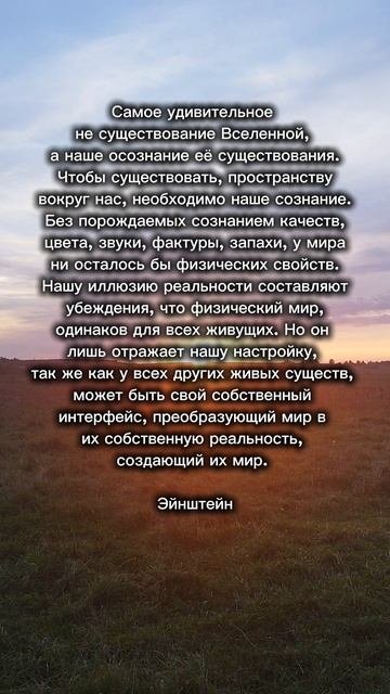 у каждого свой интерфейс человек интерфейс Вселенная Эйнштейн ГараевДамир психология shorts