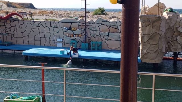 Video_2025-08-11_13-33-45