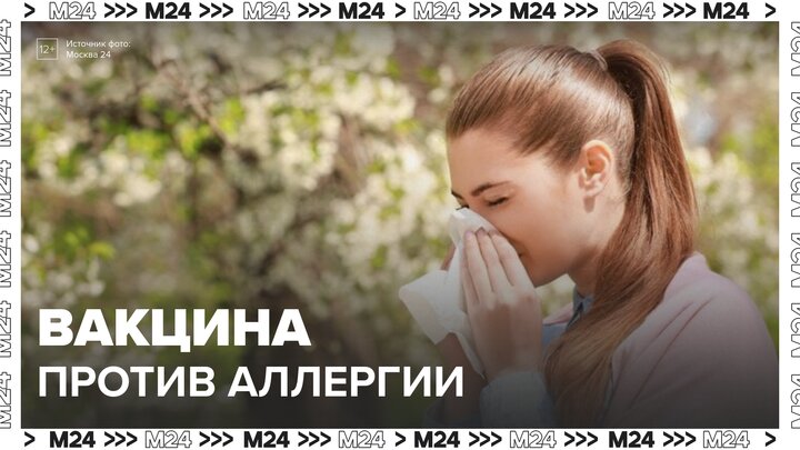 В России начали тестировать вакцину против аллергии на пыльцу березы - Москва 24