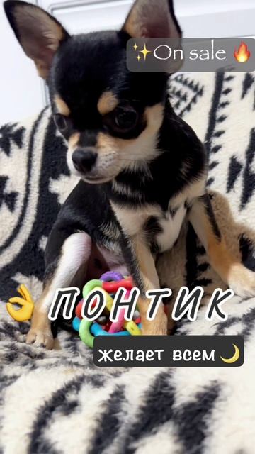 ПОНТИК перед сном