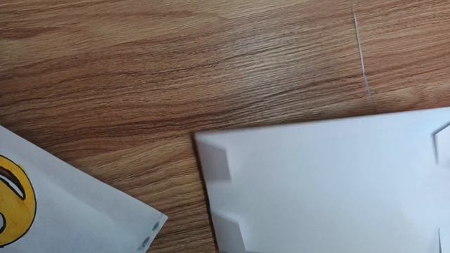 1000003610.mp4