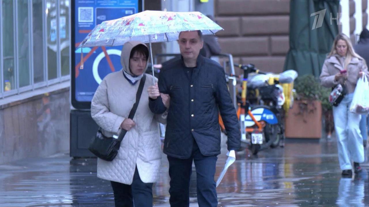 В Московском регионе почти всю неделю прогнозируются осадки в виде дождя и мокрого снега