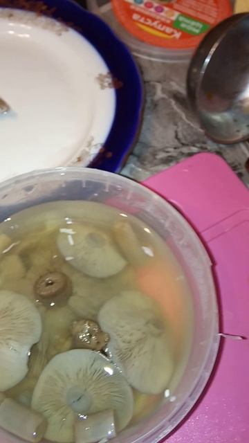 Рядовки фиолетовые как замариновать быстро