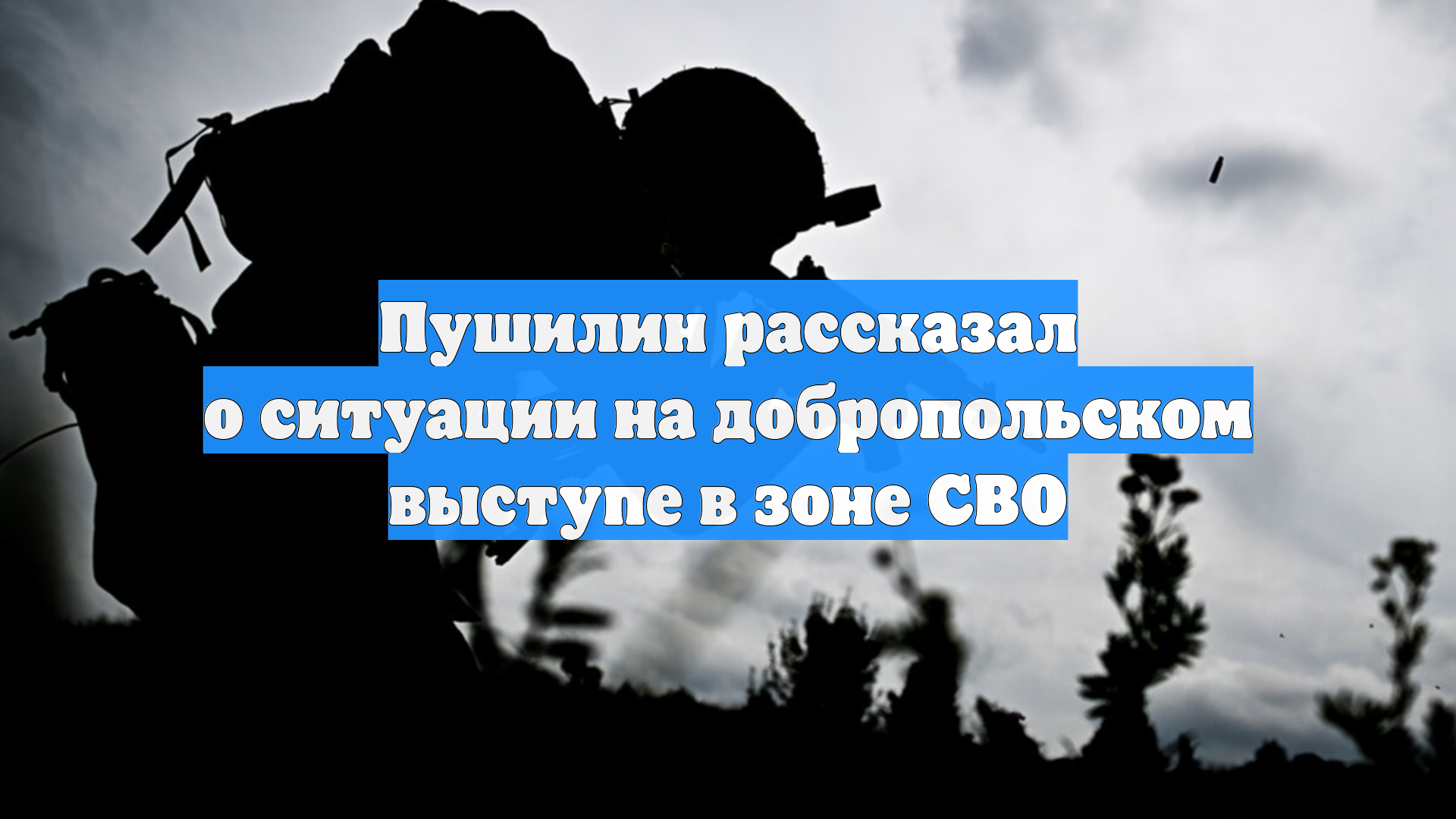 Пушилин рассказал о ситуации на добропольском выступе в зоне СВО