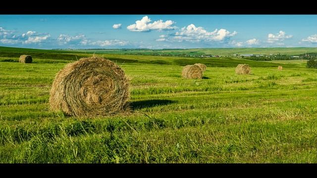 Александр Максаев. Экзамен
