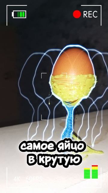 яйко в крутую