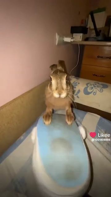 1000009735.mp4