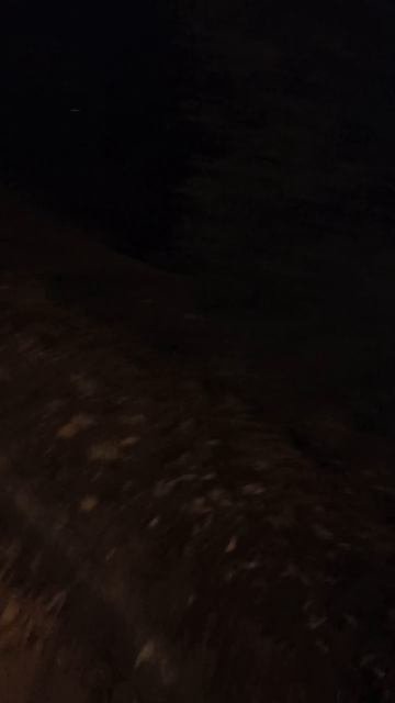 Я гуляю 3 часить