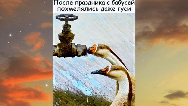АНЕКДОТЫ.