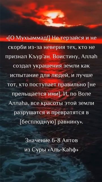 Значения 6-8 аятов суры Аль-Кахф. Шейх Шамиль аш-Шафиий.