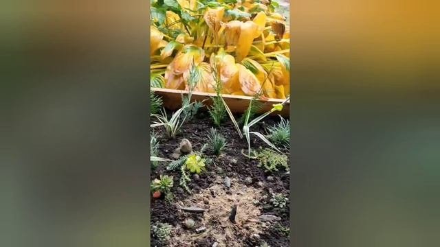 Бобровский р-н, Иван Максимкин