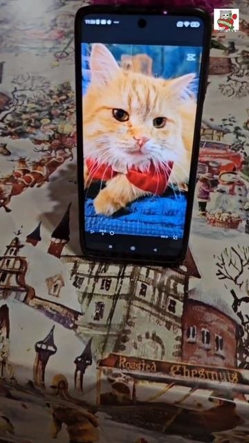 У Настюни сердце болит когда её Любимого Пикселюши нет дома 