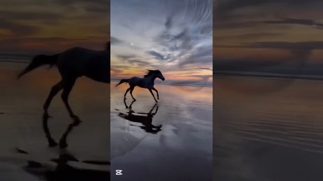 1000019925.mp4
