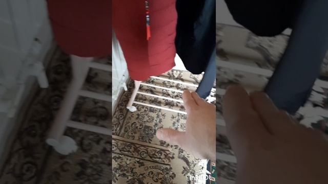 Дом и двор.Сборник интересных моментов на эту тему.Фильм4.Серия2.mp4