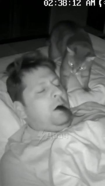 Искренняя забота и любовь к хозяину 😺 или закрывайте варежку 😡