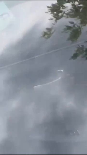 🤡 Понятно кто владелец