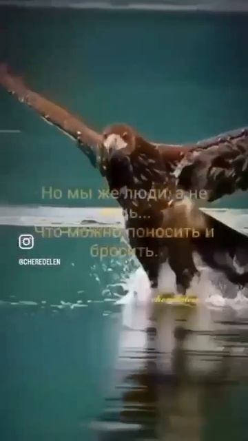 1000233031.mp4