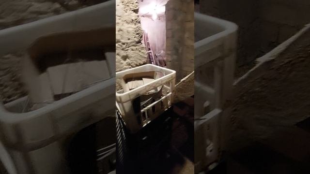 1000025680.mp4