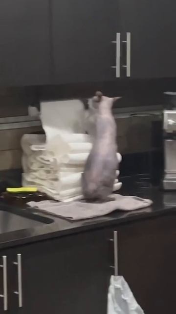 Я считаю что так лучше😺😄