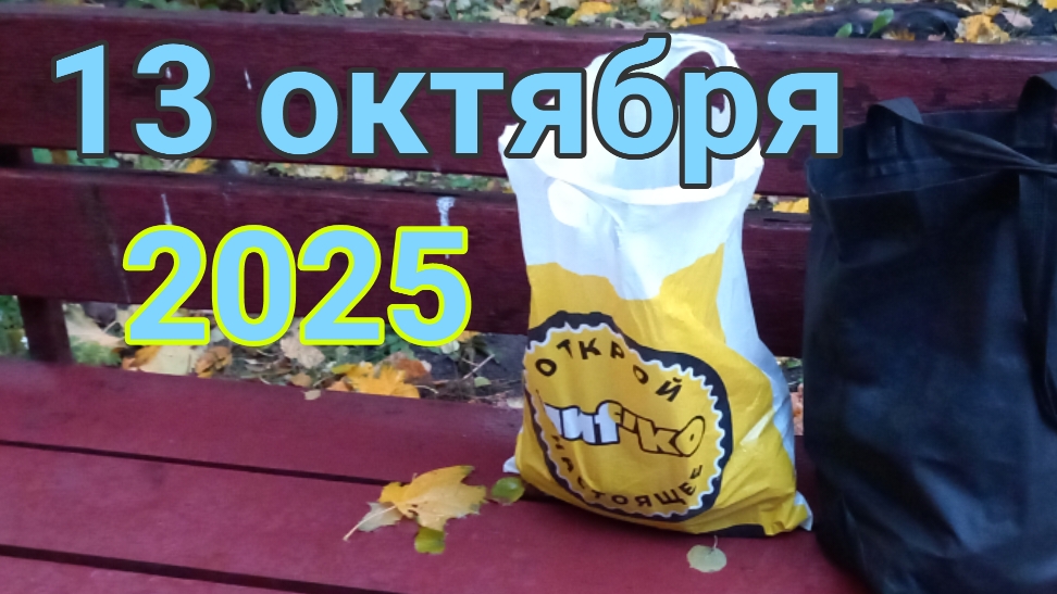 13 октября 2025. С самого утра в Семь Штрихкотов)