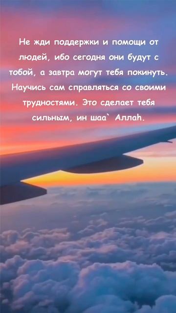 Учись справляться с трудностями ради Аллагьа Шейх Шамиль аш-Шафиий.