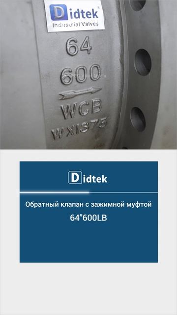 64''600LB Обратный клапан с зажимной муфтой